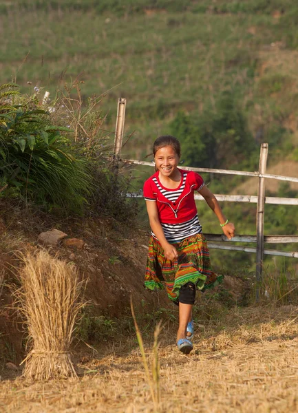 베트남 2015 베트남 북쪽까지 티베트 지구에 마에서 그녀의 친구와 수확된 로열티 프리 스톡 사진