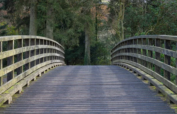 Parque rural puente de madera — Foto de Stock