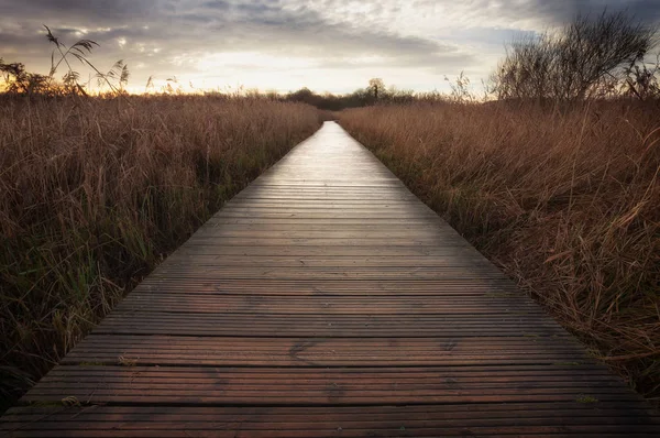 Paseo marítimo del lago Cosmeston — Foto de Stock