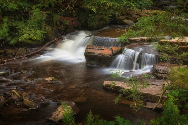 TSK Fechan orman şelale