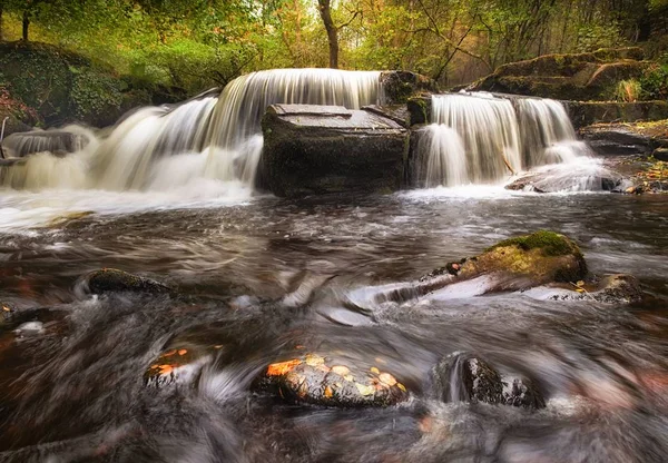 TSK Fechan orman şelale