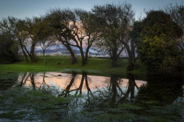 Şiddetli yağmur, Swansea, Güney Galler, Uk 'taki Blackpill adlı bölgede Swansea gezinti güvertesinde sellere ve yansımalara yol açıyor.