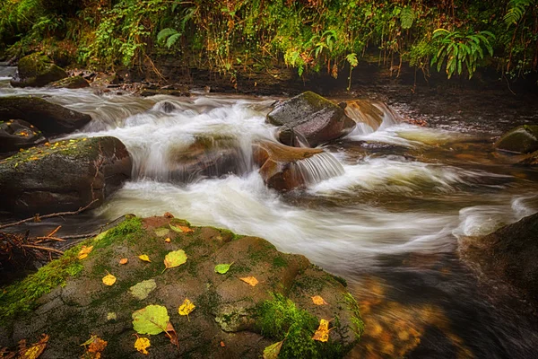 Herfst Bladeren Rotsen Bij Melincourt Brook Resolven Zuid Wales Verenigd — Stockfoto