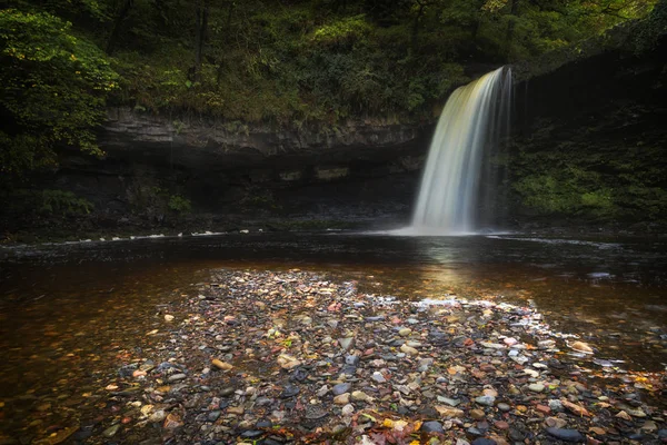 Waterval Bekend Als Lady Falls Sgwd Gwladus Langdurige Regenval Rivier — Stockfoto