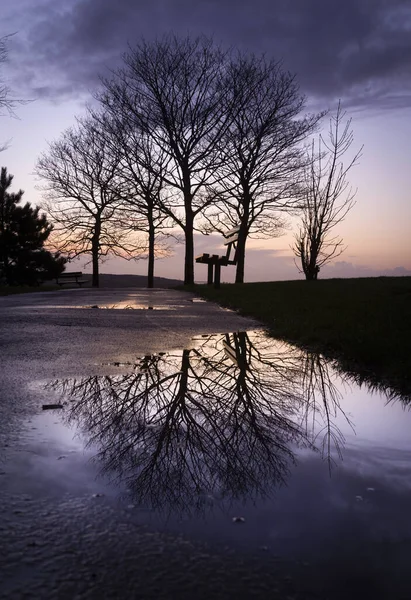 Σκέψεις Γυμνών Χειμερινών Δέντρων Κατά Ηλιοβασίλεμα Στο Πάρκο Ravenhill Swansea — Φωτογραφία Αρχείου