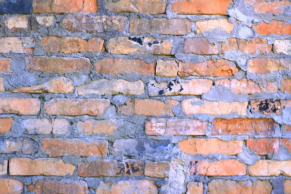 Stary mur z cegły w więzieniu. — Zdjęcie stockowe
