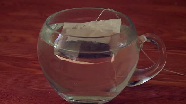 Brewing tea a transparent cup — Stock Video