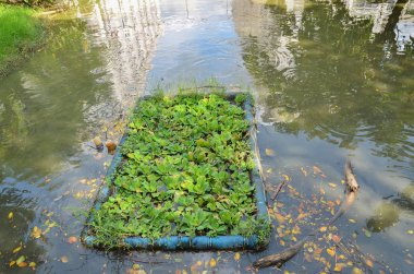 Çevre sorunu, atık su, endüstriyel kanalizasyon