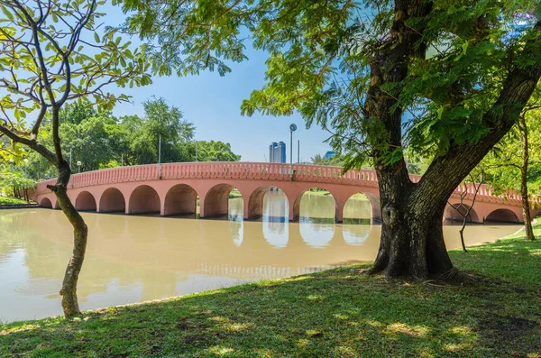 Yazın büyük kentin merkezindeki parkın manzarası. Baharda parktaki köprü güneşli bir günde ortada bir göl ve tropikal bölgede yeşil ağaçlar