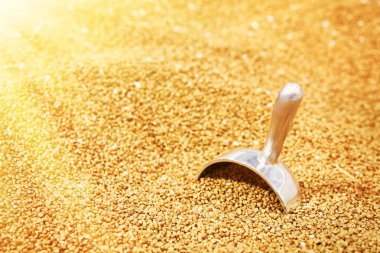 Renkli makarna mağaza. Kepçe. Tonda.