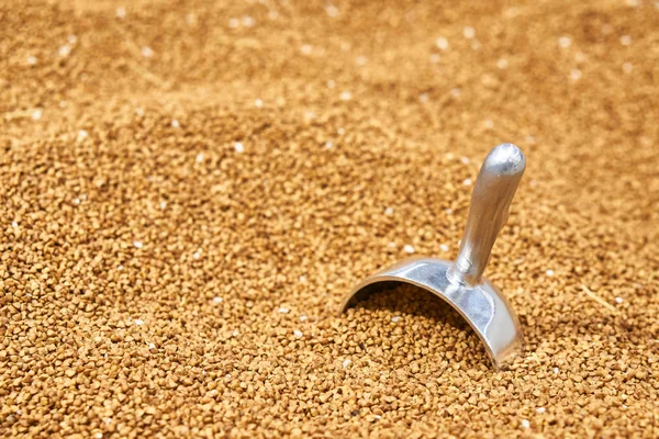 Renkli makarna mağaza. Kepçe. Tonda.