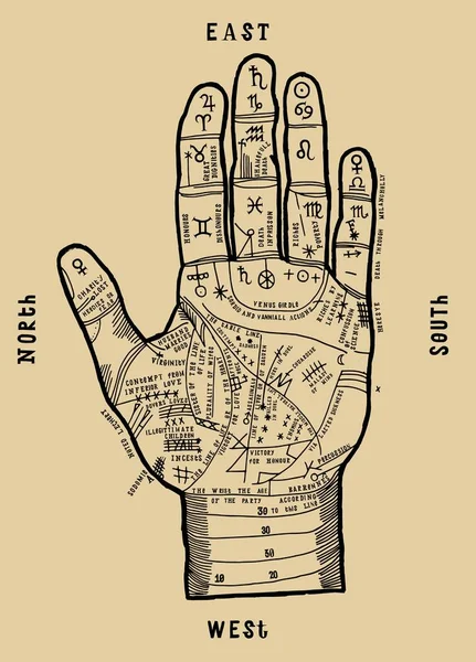 Palmistry Térkép Illusztráció Pálma Jelek Vonalak Szüreti Tipográfia Nyomat Okkult — Stock Vector