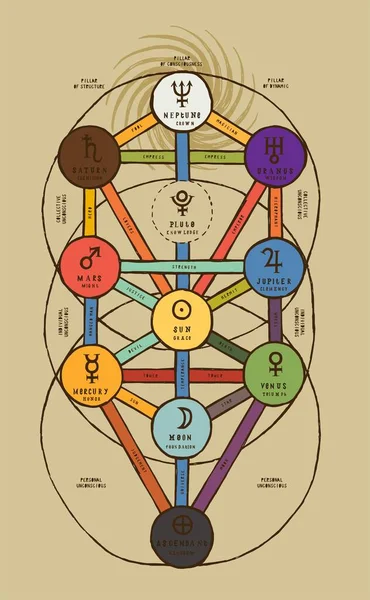 Sephirotic Tree Detail Colored Tree Life Kabbalah Symbol Vintage Occult — Stock Vector