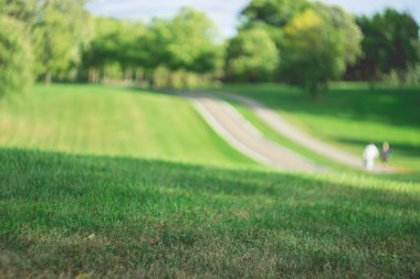 Park öğleden sonra mavi gökyüzü ile güneşli gün güzel gün 