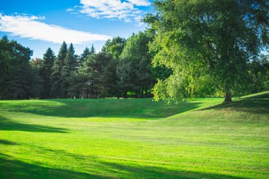 Park öğleden sonra mavi gökyüzü ile güneşli gün güzel gün 