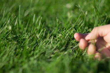 Çimenlerin üzerinde güzel gün, gün sakin ol, sakin ol el el