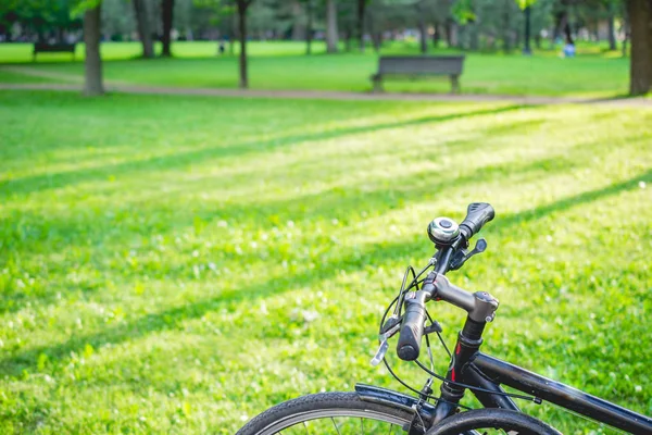 Güneşli bir günde parkta bisiklet, beautiful su parkta bisiklet Stok Fotoğraf