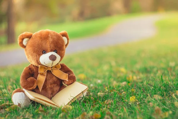 oyuncak ayı kitap sonbahar mevsiminde çim sahada oturan ile