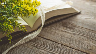 Sabah gevşeme ve rahat Solidago küçük sarı çiçekli bir