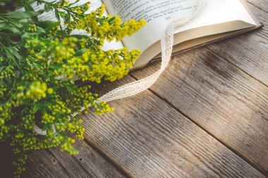 Sabah gevşeme ve rahat Solidago küçük sarı çiçekli bir