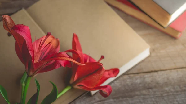 Πρωί χαλάρωση και άνετο με κόκκινο ανθίζοντας lilly σε σκούρο χρυσό — Φωτογραφία Αρχείου