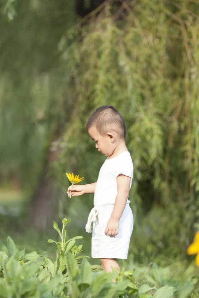 Bir parkta oynayan sevimli Çinli bebek çocuk