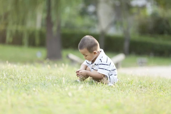 Gelukkig Chinese babyjongen spelen op weide — Stockfoto