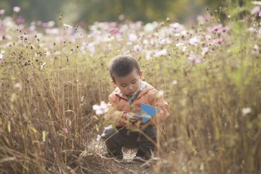 Şirin Çinli Calliopsis çiçeği oynamaya bebeğim