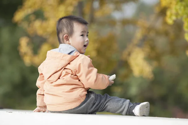 Ginkgo ağaçları önünde oynayan sevimli bebeğim