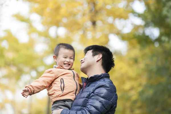 Mutlu gerçek baba ve oğul ginkgo ağaçları önünde oynarken