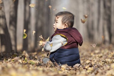 Ginkgo ormanda oynayan Çinli bebek çocuk