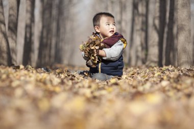 Ginkgo ormanda oynayan Çinli bebek çocuk