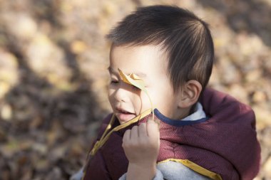Ginkgo ormanda oynayan Çinli bebek çocuk