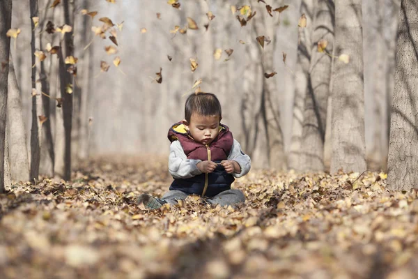 Ginkgo ormanda oynayan Çinli bebek çocuk