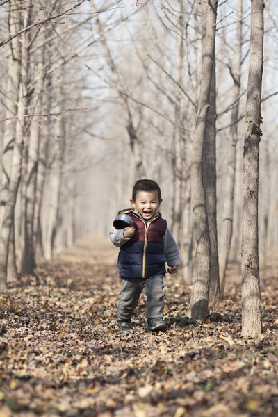 Ginkgo ormanda oynayan Çinli bebek çocuk