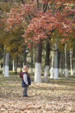 Çin Olimpiyat Forest Park için yapılan bir sopa oynarken bebeğim