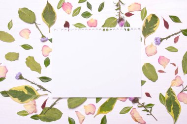 çiçek, yaprakları ve yeşil yaprakları bir çerçevede Not 