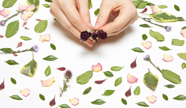 Mãos femininas com rosas em um fundo de pétalas, flores e l — Fotografia de Stock