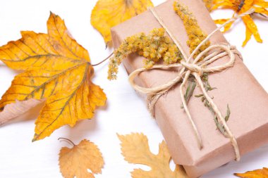 Arka plan bulanık sarı yapraklarda mevcut. 