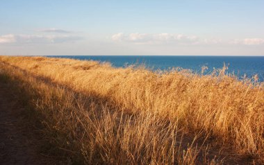 Deniz otu tepe üzerinde yukarıda kırmak