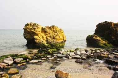 Deniz bir arka plan üzerinde taş yakın çekim.