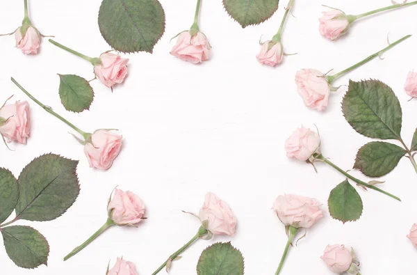 Okrągła rama różowy kwiaty na białym tle — Zdjęcie stockowe