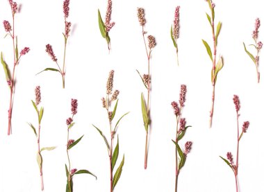 Kırmızı, pembe çiçek deseni. Düz yatıyordu, en iyi görünümü.