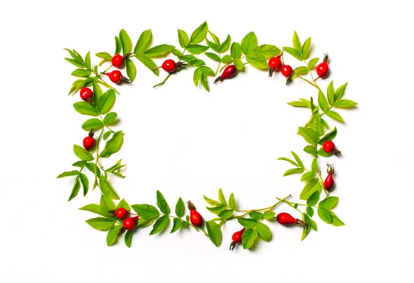  kare kare yaprakları ve kırmızı çiçekler, meyveler ile. Düz yatıyordu.