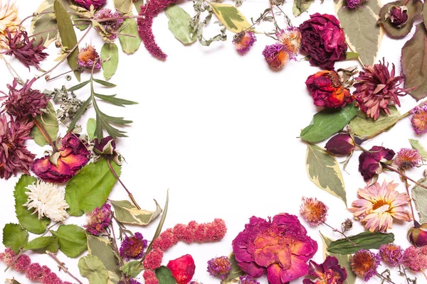 Rám ze sušených květin, růžové, červené růže a zelené listy na wh — Stock fotografie