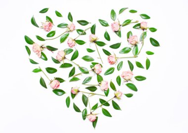 Pembe çiçekler, yeşil bir kalp şeklinde yaprakları.