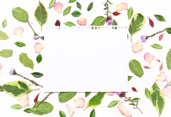 Φύλλο χαρτιού για κείμενο σε ένα πλαίσιο λουλούδια, πέταλα και πράσινο — Φωτογραφία Αρχείου