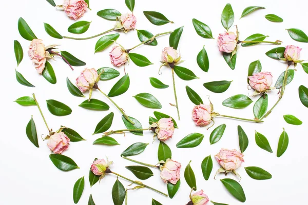 O padrão, composição de folhas verdes e flores rosa, rosas — Fotografia de Stock