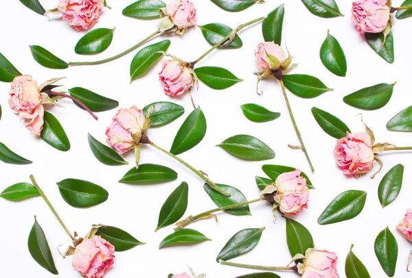 A decoração de folhas verdes e flores rosa, rosas — Fotografia de Stock