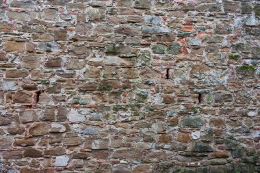 Kahverengi doku taş yeşil küf ile. Eski, Ortaçağ Duvar